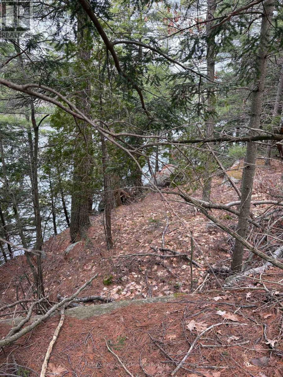 4 Wee Gee Wa Road, Seguin, Ontario P2A 0E8 - Photo 27 - X13731284