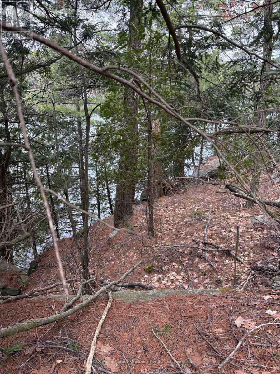 4 Wee Gee Wa Road, Seguin, Ontario P2A 0E8 - Photo 28 - X13731284
