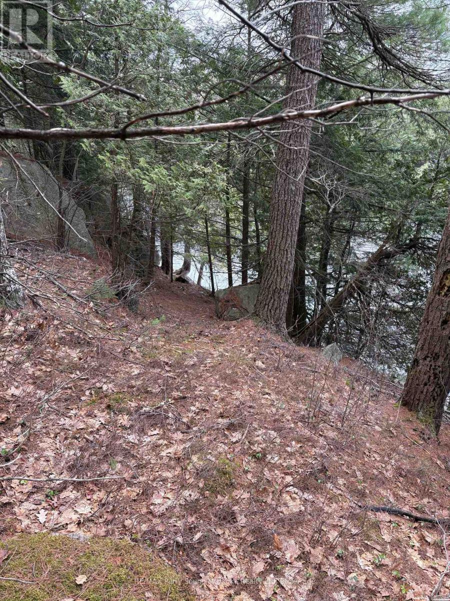 4 Wee Gee Wa Road, Seguin, Ontario P2A 0E8 - Photo 29 - X13731284