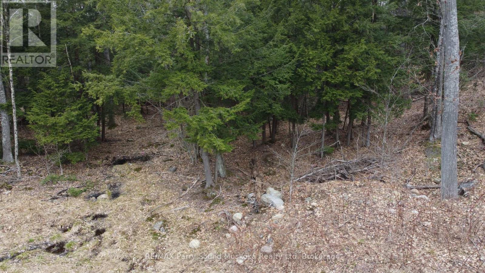 4 Wee Gee Wa Road, Seguin, Ontario P2A 0E8 - Photo 31 - X13731284