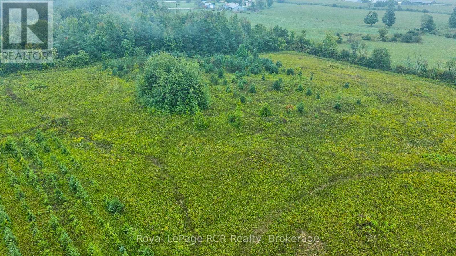 585216 Sideroad 10a, Grey Highlands, Ontario  N0C 1H0 - Photo 39 - X13731444