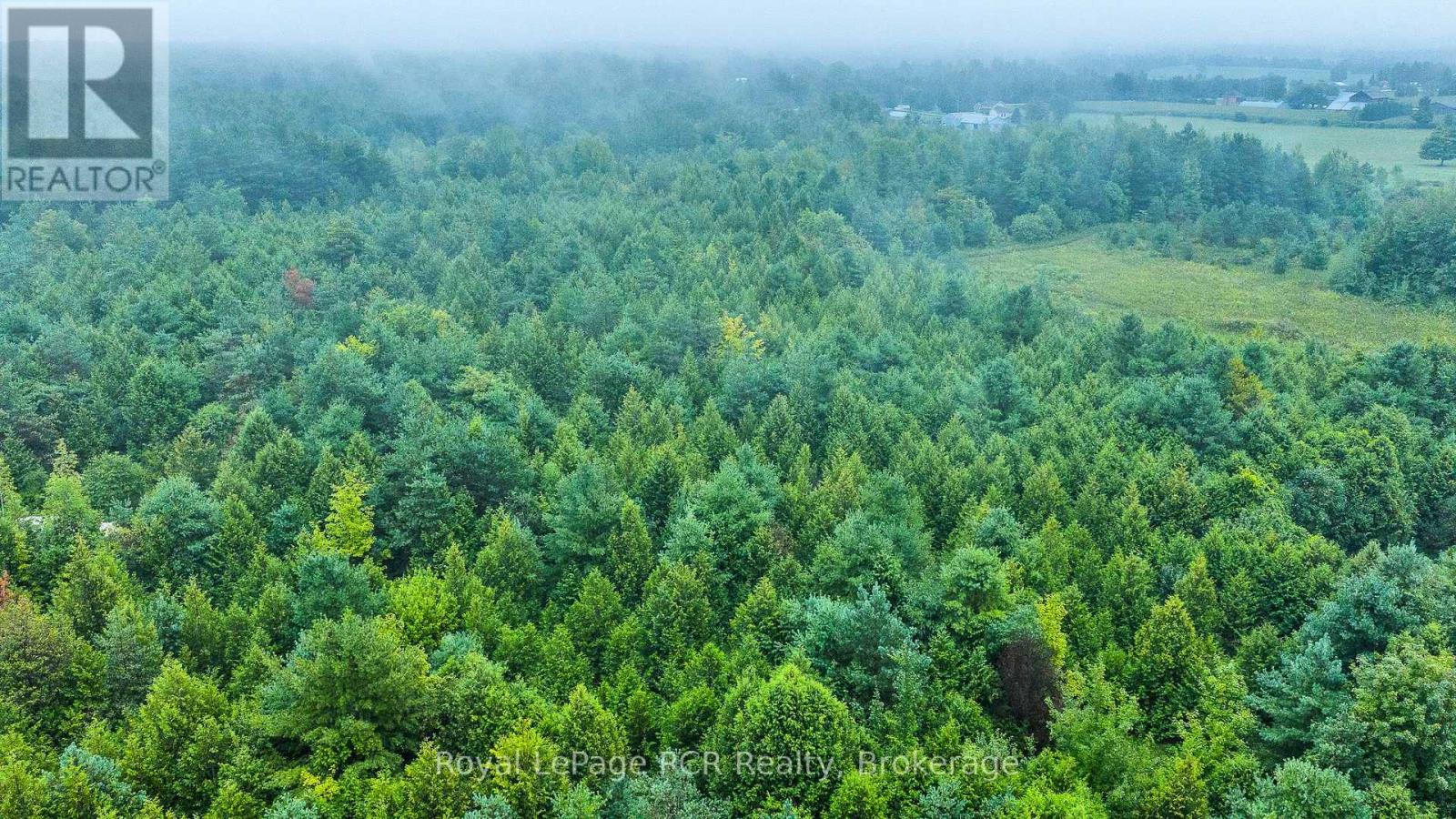 585216 Sideroad 10a, Grey Highlands, Ontario  N0C 1H0 - Photo 41 - X13731444