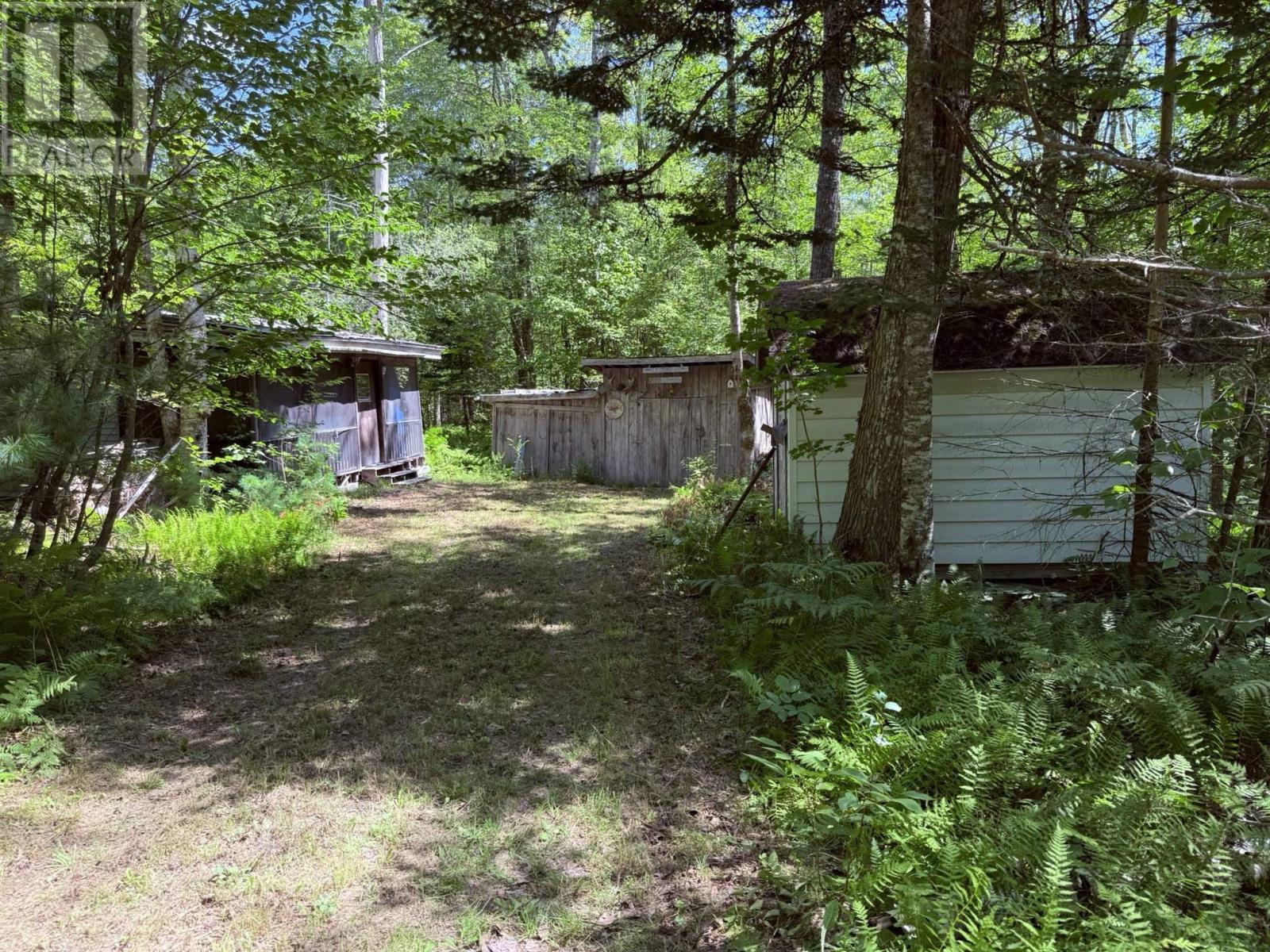 picture 15