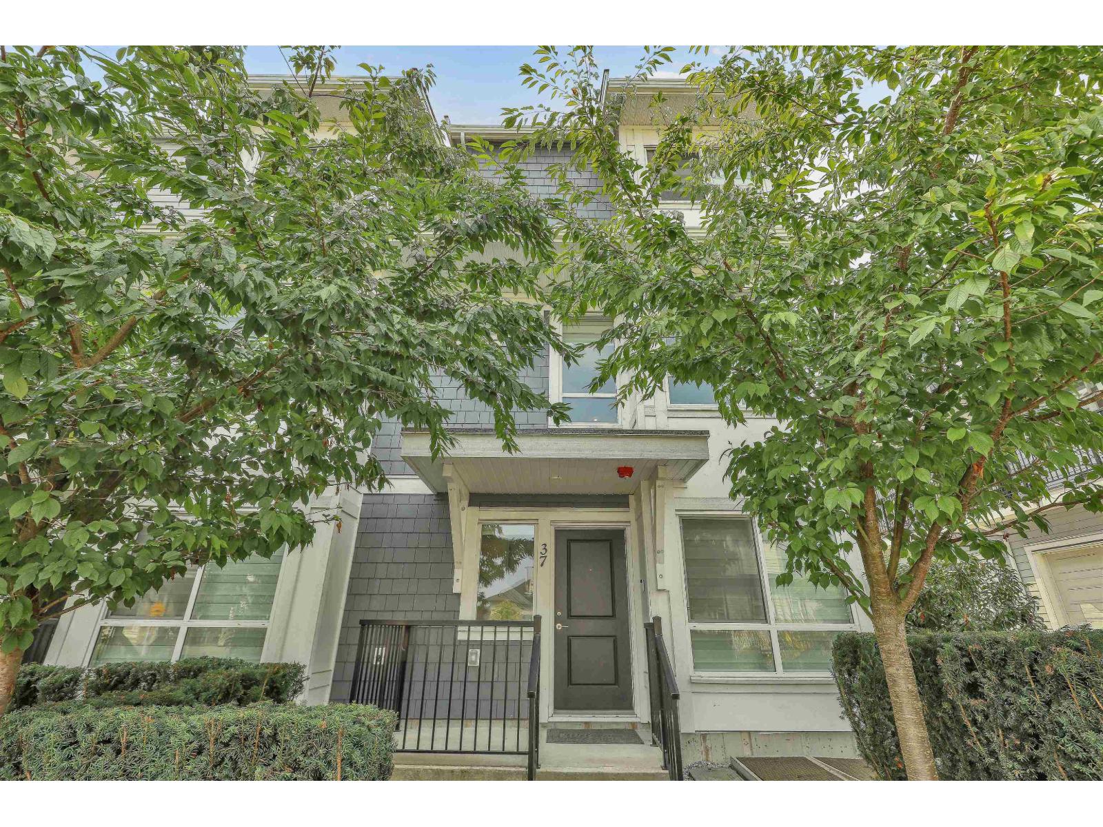 37 12830 62 Avenue, Surrey, British Columbia  V3X 0K8 - Photo 4 - R3159535