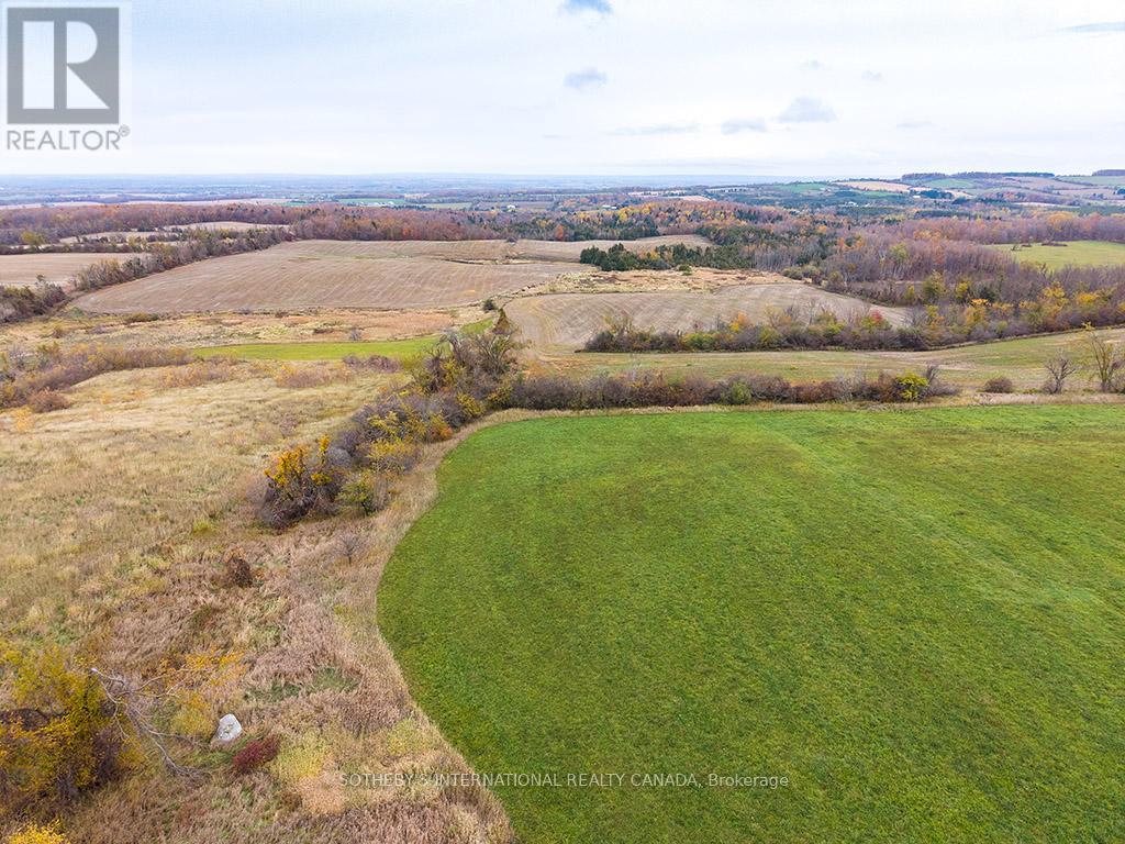2205 County Road 124, Clearview, Ontario  L0M 1H0 - Photo 9 - S13731716