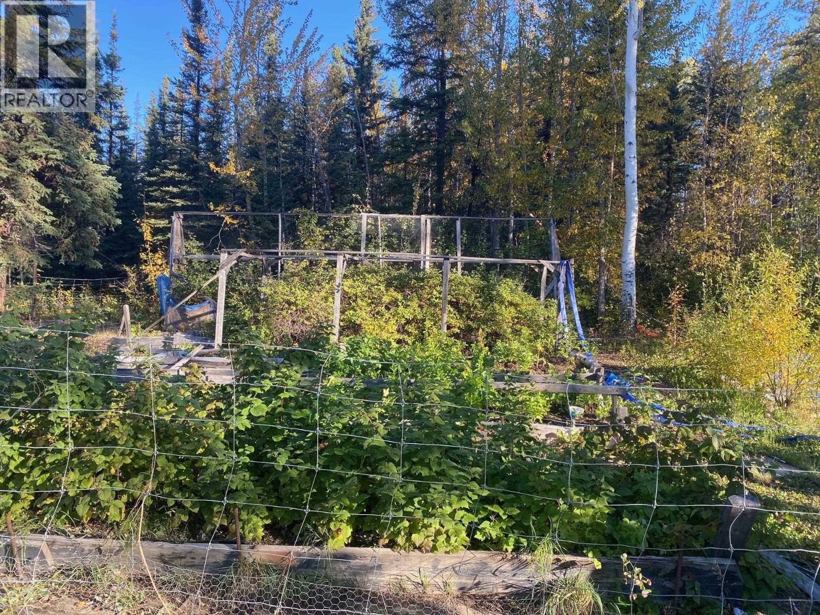 Mile 317 Liard Highway, Fort Nelson, British Columbia  V0C 1R0 - Photo 23 - R3124461