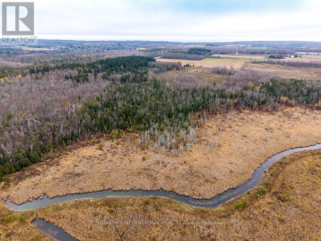 793958 Grey Road 124, Grey Highlands, Ontario  N0C 1M0 - Photo 22 - X13731670