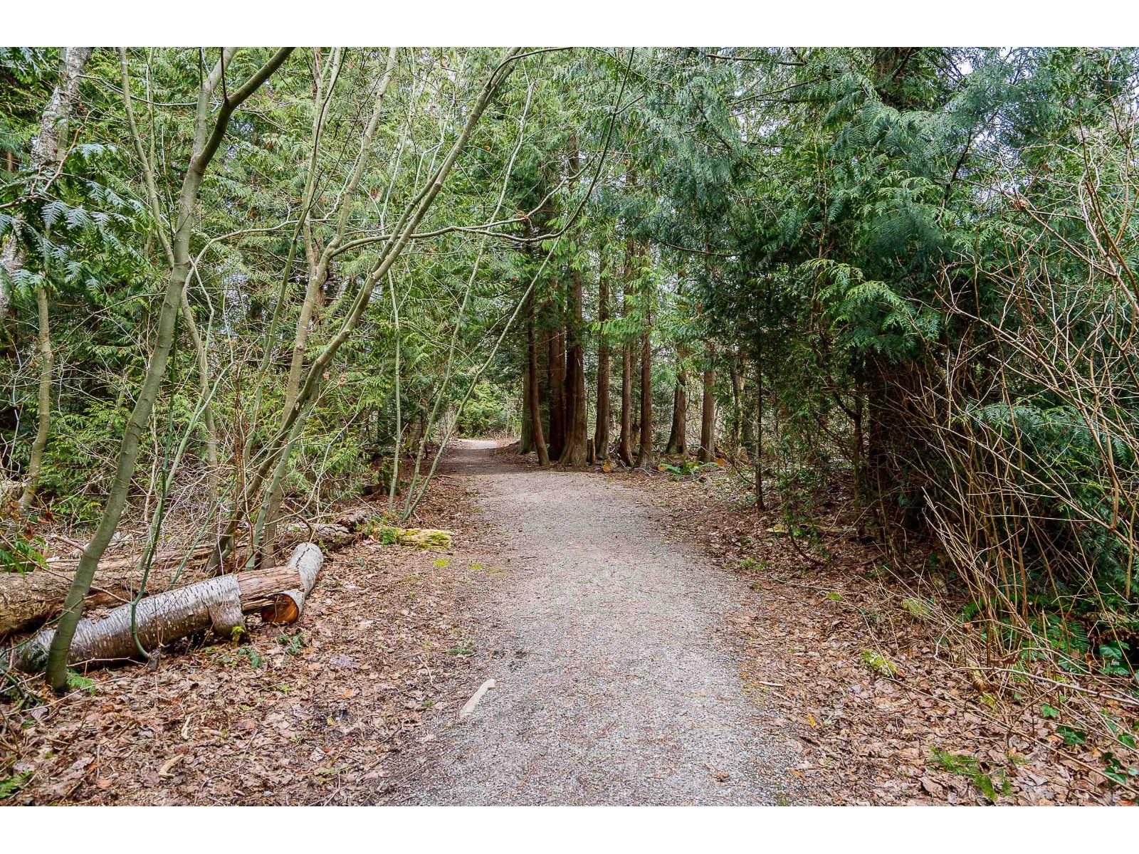 1837 134a Street, Surrey, British Columbia  V4A 9E2 - Photo 32 - R3159910