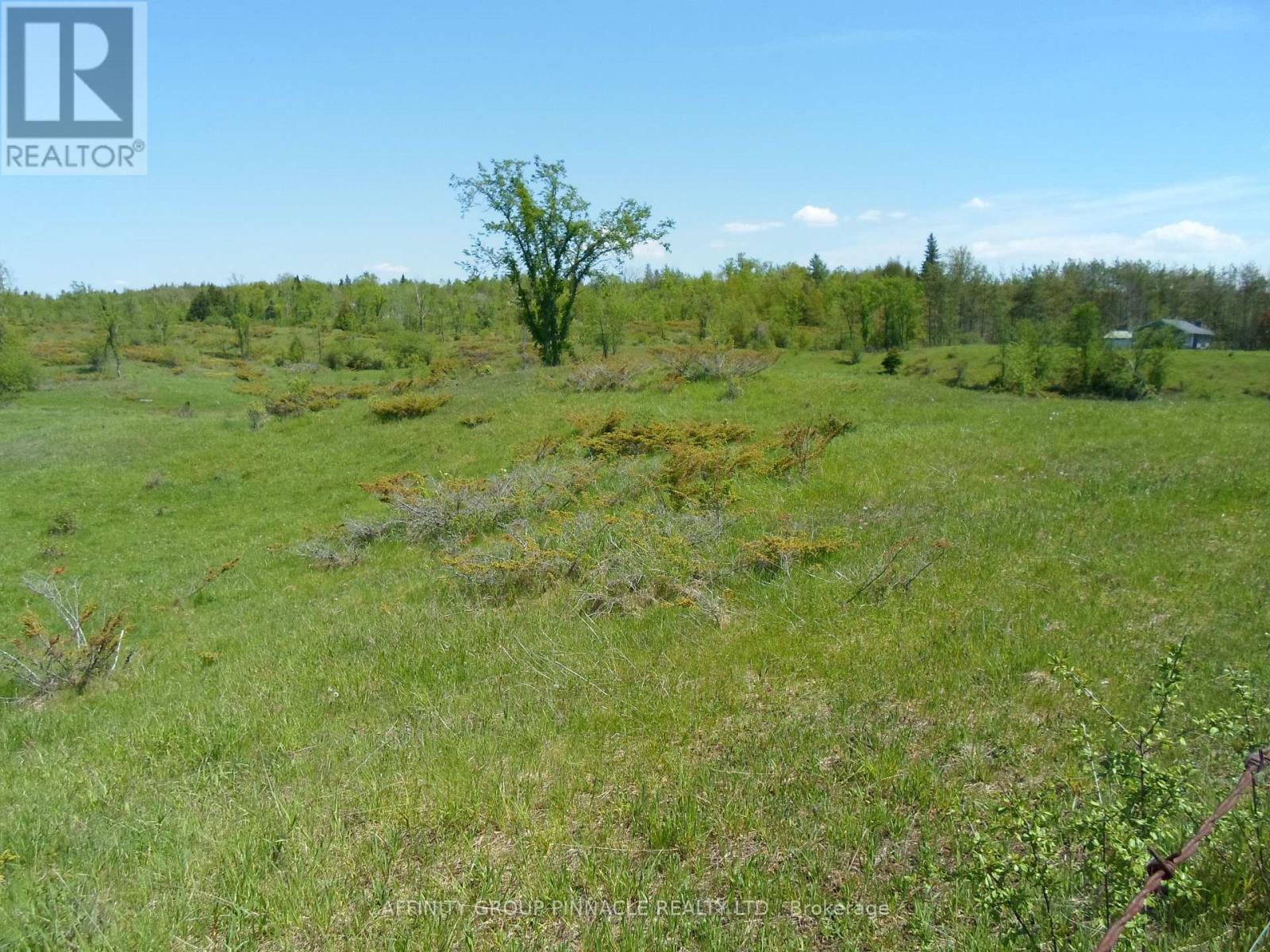 1178 County Rd 121 Road, Kawartha Lakes, Ontario  K0M 1N0 - Photo 1 - X13208270