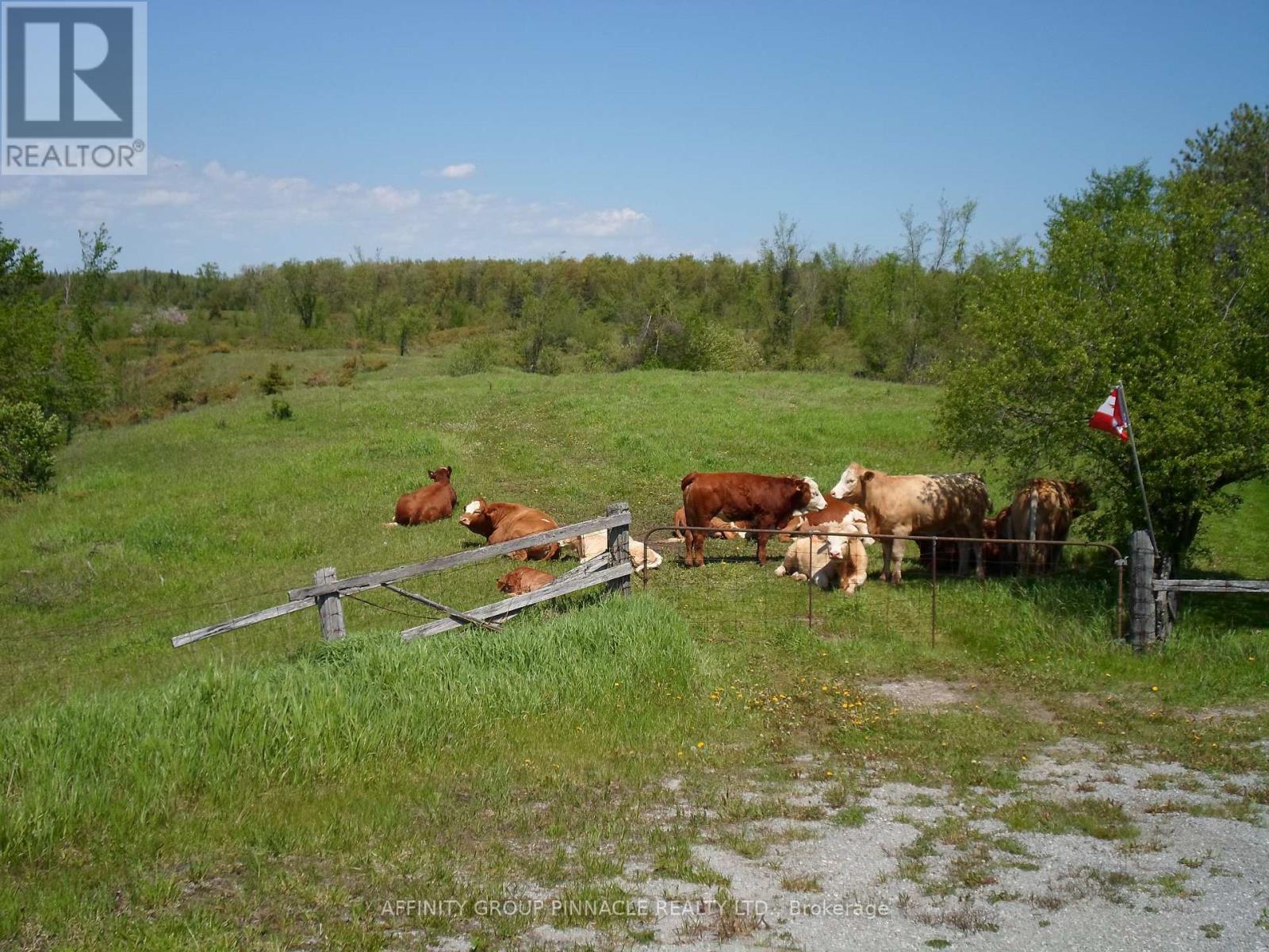 1178 County Rd 121 Road, Kawartha Lakes, Ontario  K0M 1N0 - Photo 12 - X13208270