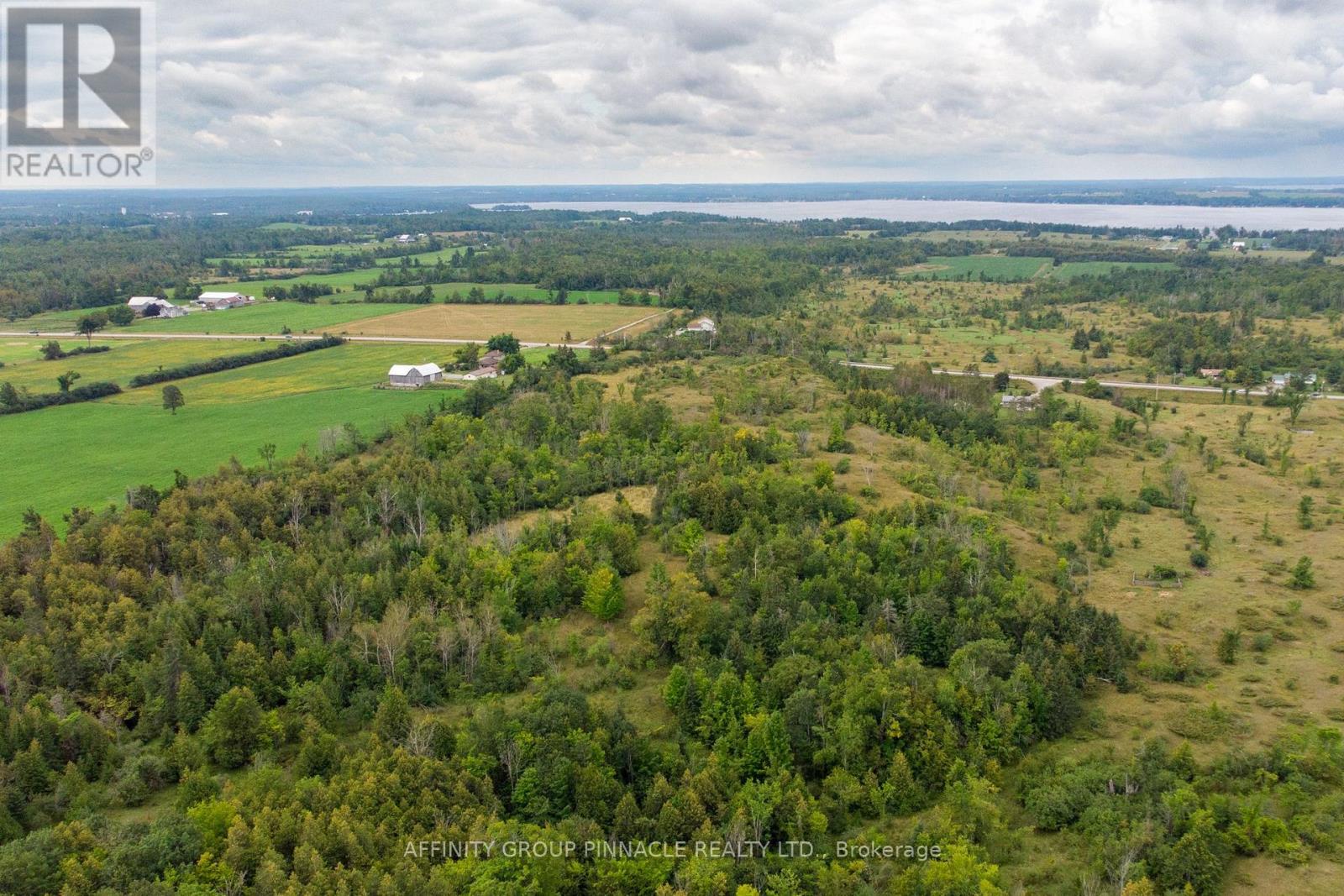 1178 County Rd 121 Road, Kawartha Lakes, Ontario  K0M 1N0 - Photo 10 - X13208270