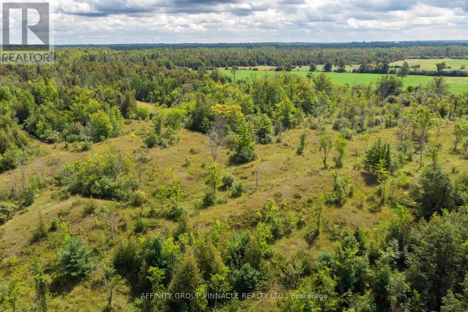 1178 County Rd 121 Road, Kawartha Lakes, Ontario  K0M 1N0 - Photo 14 - X13208270