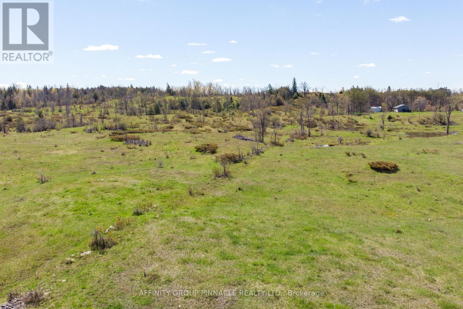 1178 County Rd 121 Road, Kawartha Lakes, Ontario  K0M 1N0 - Photo 5 - X13208270