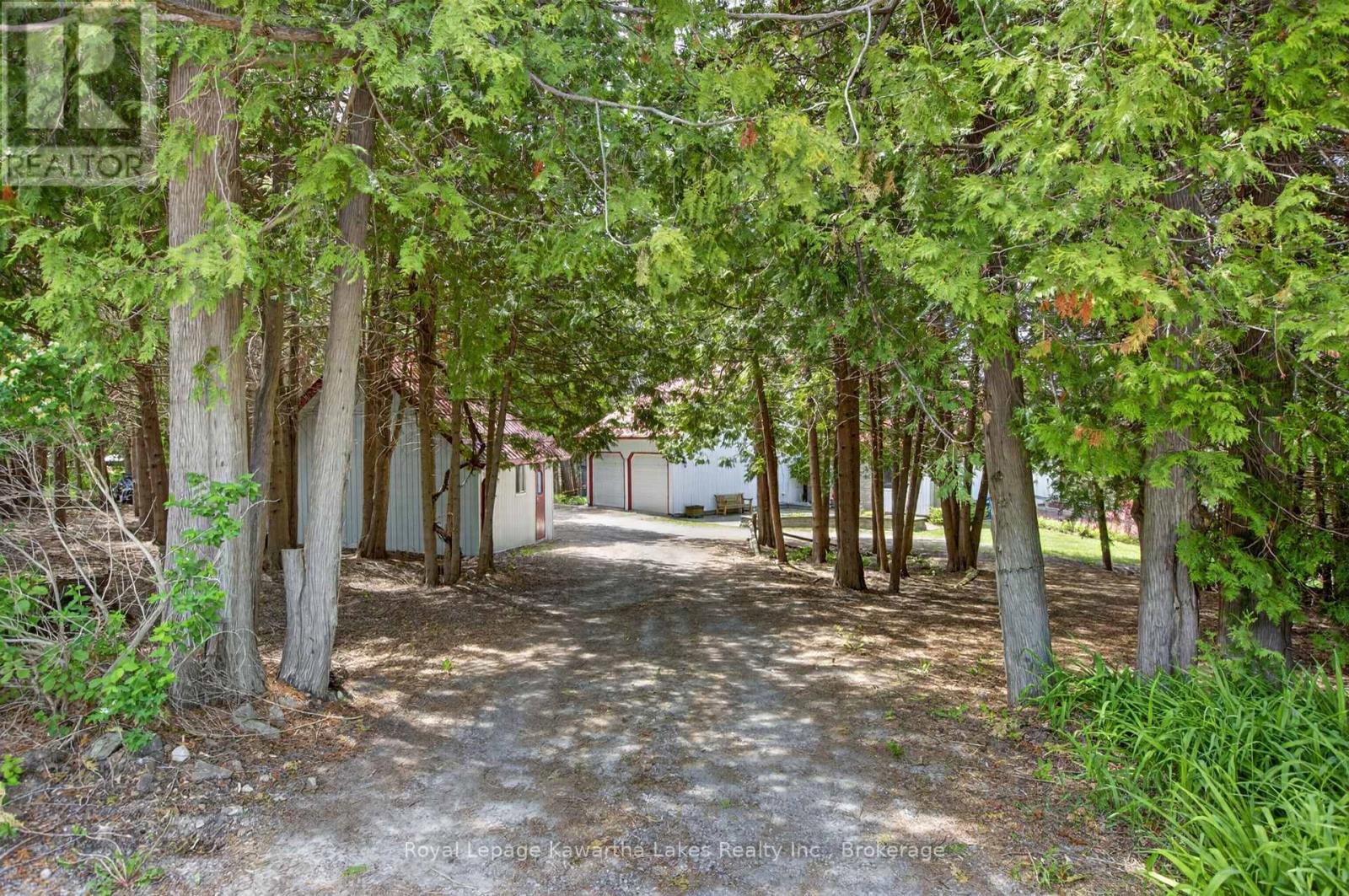 153 Pleasant Point Road, Kawartha Lakes, Ontario  K9V 4R6 - Photo 8 - X13238804