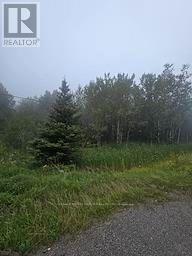 5937 Highway 11/17, Thunder Bay Remote Area, Ontario  P0T 1W0 - Photo 3 - X13728978