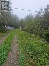 5937 Highway 11/17, Thunder Bay Remote Area, Ontario  P0T 1W0 - Photo 4 - X13728978