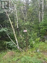5937 Highway 11/17, Thunder Bay Remote Area, Ontario  P0T 1W0 - Photo 5 - X13728978