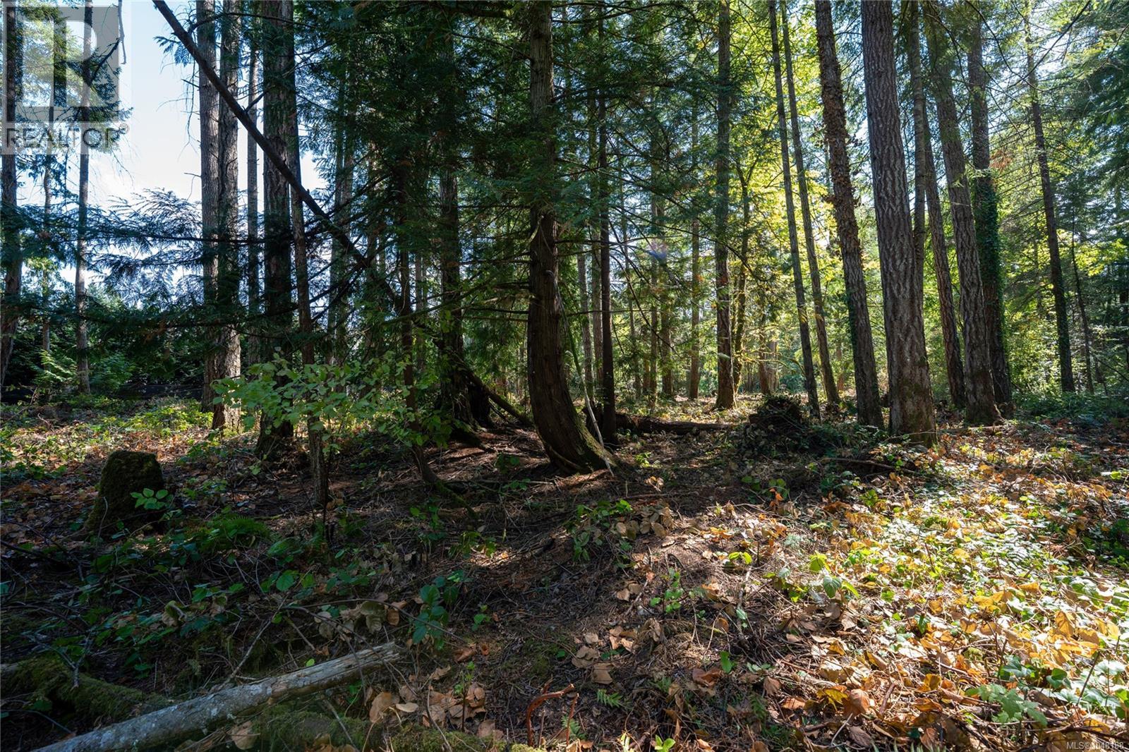 750 Dalkeith Ave, North Saanich, British Columbia  V8L 5G7 - Photo 10 - 1048188