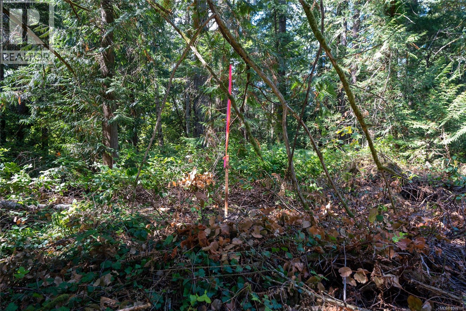 750 Dalkeith Ave, North Saanich, British Columbia  V8L 5G7 - Photo 4 - 1048188