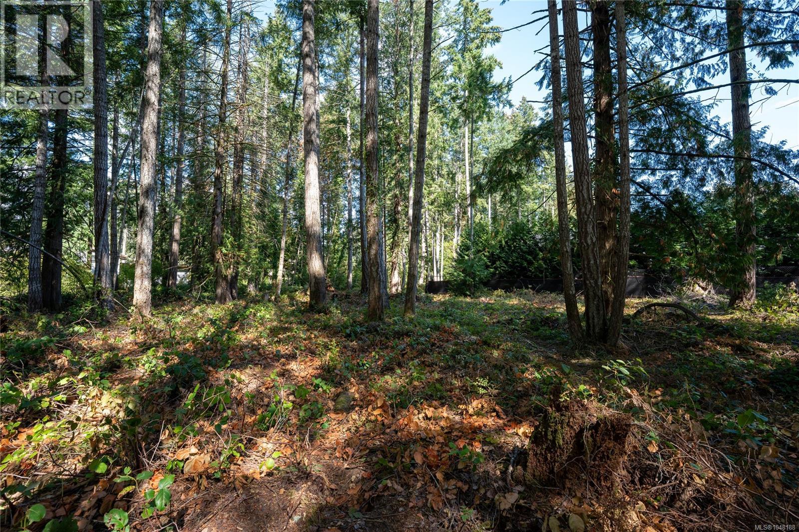 750 Dalkeith Ave, North Saanich, British Columbia  V8L 5G7 - Photo 7 - 1048188
