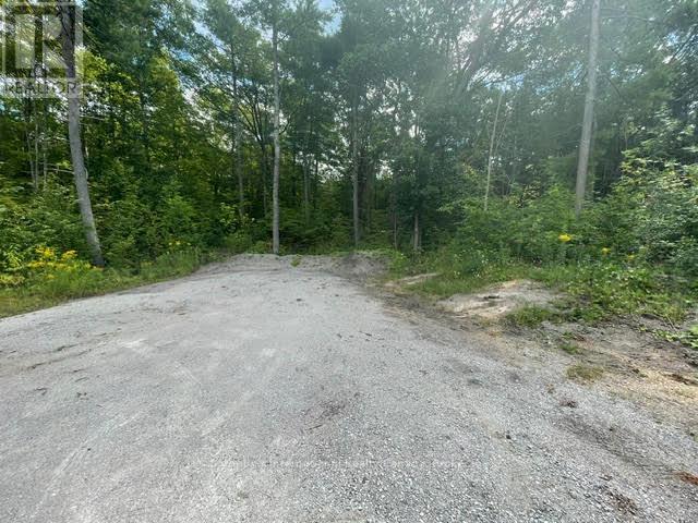 7859 Pineridge Road, Ramara, Ontario  L0K 2B0 - Photo 1 - S13731928