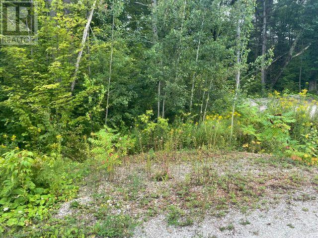 7859 Pineridge Road, Ramara, Ontario  L0K 2B0 - Photo 2 - S13731928