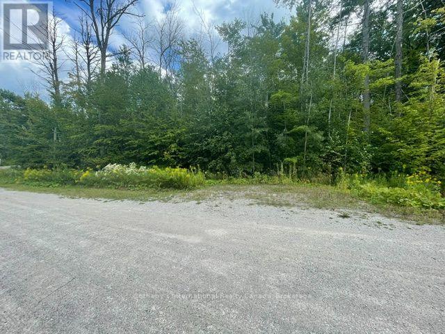 7865 Pineridge Drive, Ramara, Ontario  L0K 2B0 - Photo 1 - S13732122