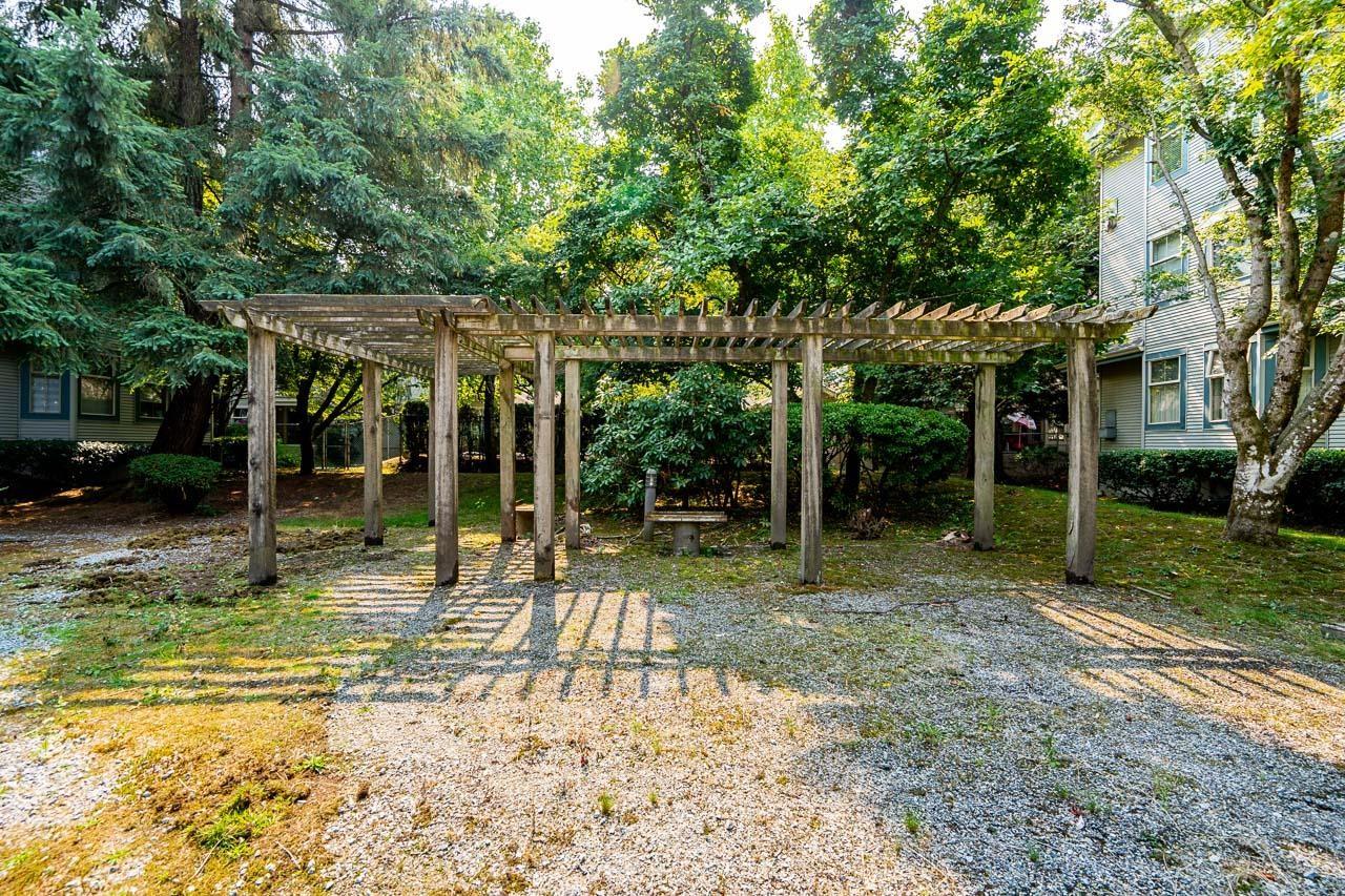 105 10743 139 Street, Surrey, British Columbia  V3T 4L8 - Photo 35 - R3160134