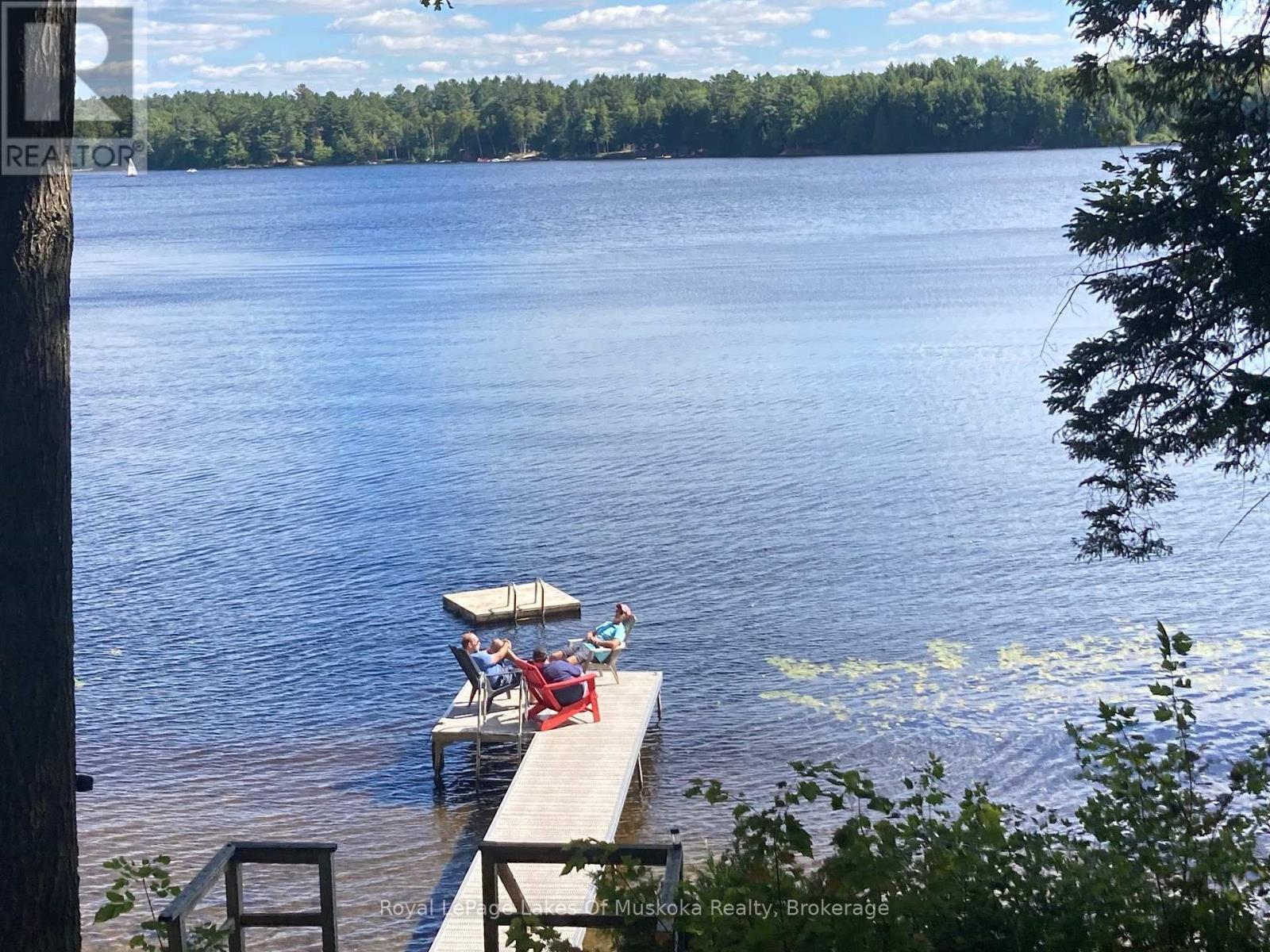 1063 Dickie Lake Road, Lake Of Bays (Mclean), Ontario P0B 1A0 - Photo 7 - X13732118