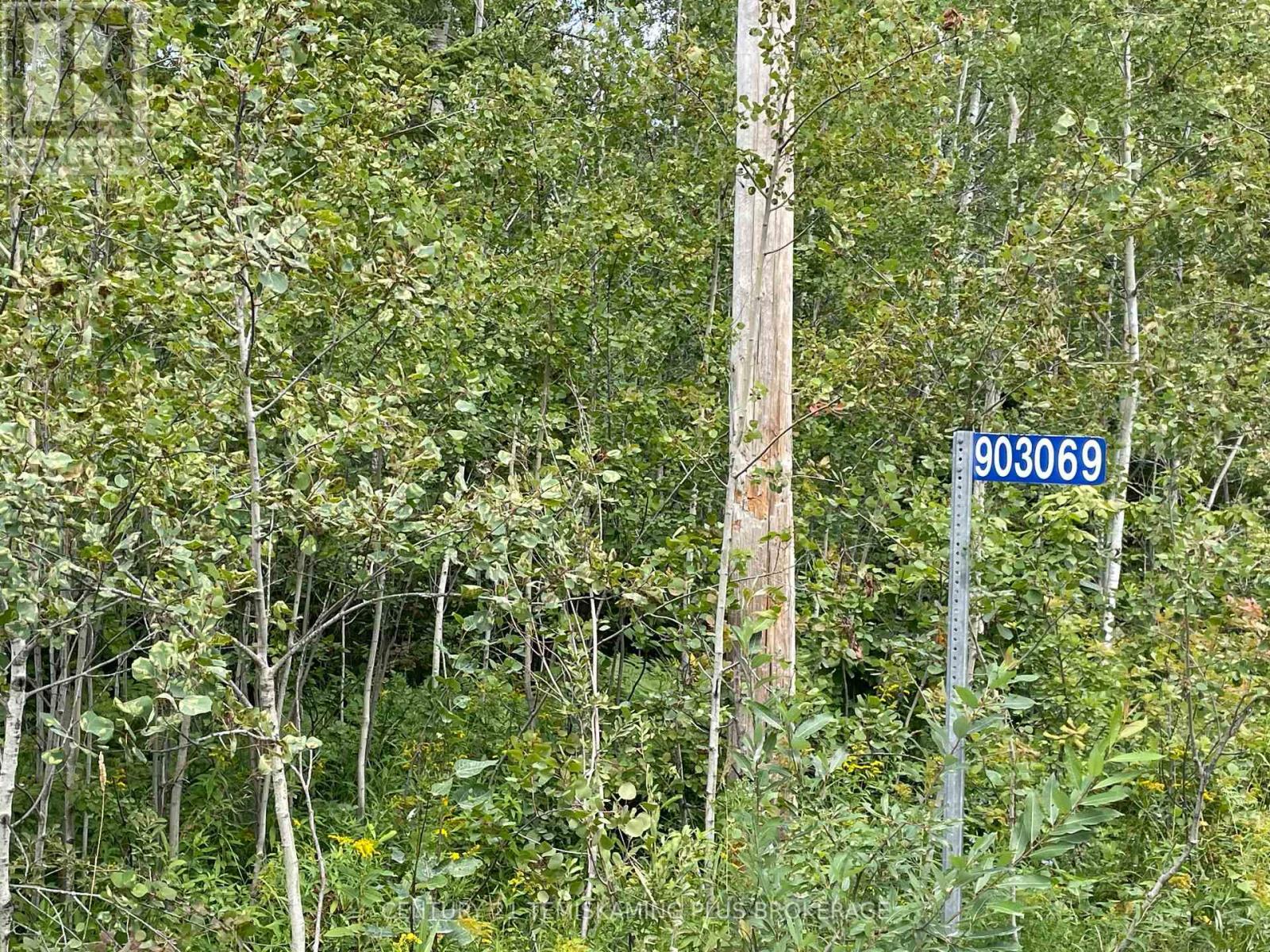 903069 Hanbury Road, Timiskaming, Ontario  P0J 1P0 - Photo 2 - T13732200