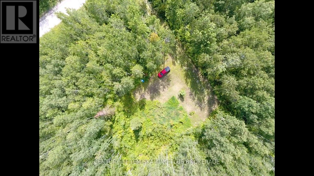 903069 Hanbury Road, Timiskaming, Ontario  P0J 1P0 - Photo 3 - T13732200