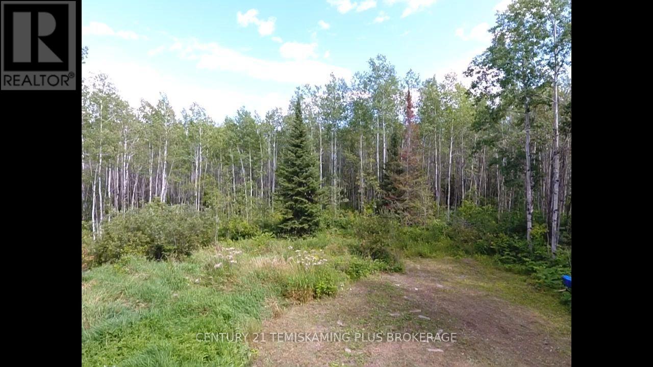 903069 Hanbury Road, Timiskaming, Ontario  P0J 1P0 - Photo 7 - T13732200