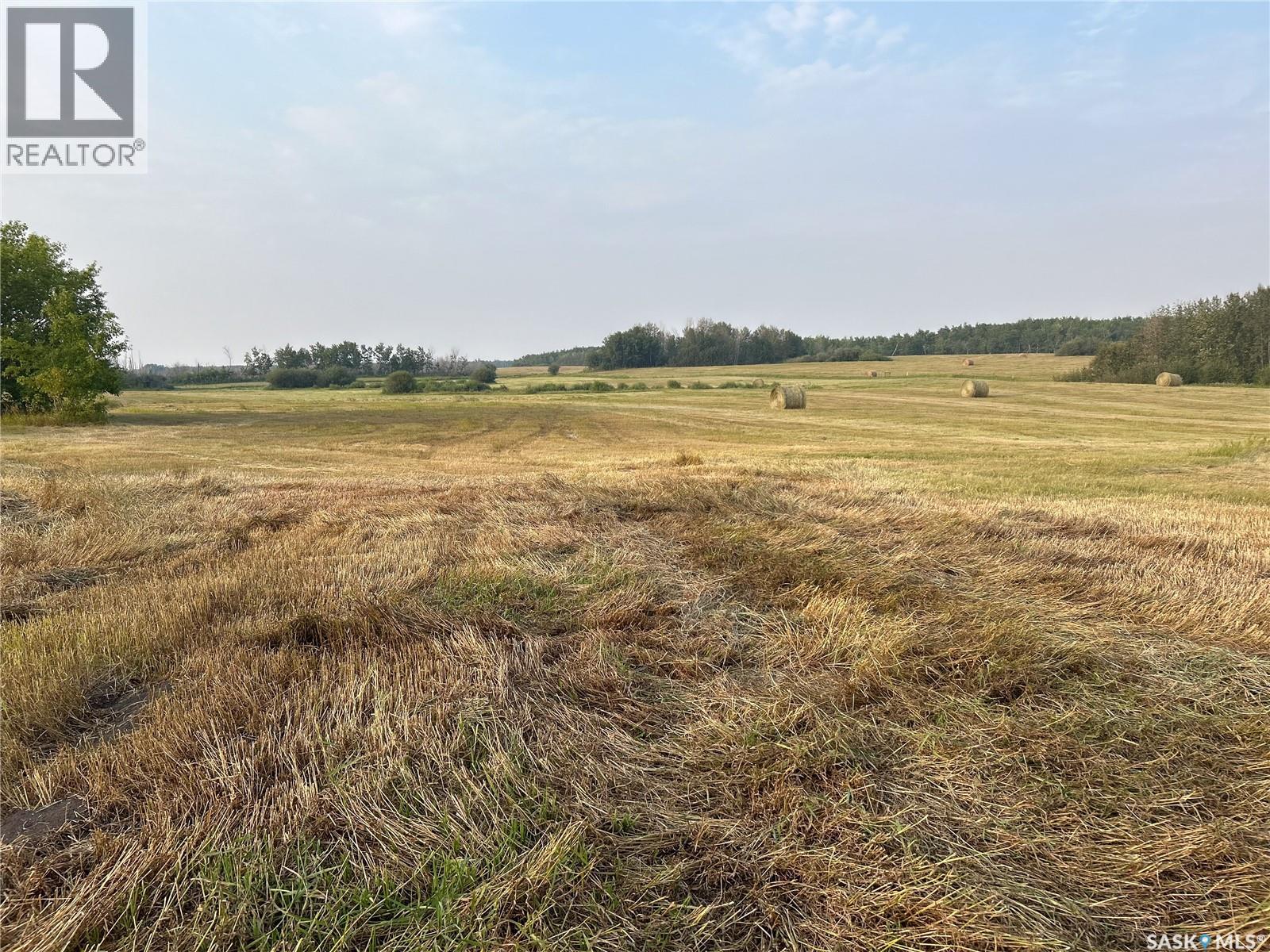 Turtleford Acreage., Mervin Rm No.499, Saskatchewan  S0M 0G4 - Photo 38 - SK047172