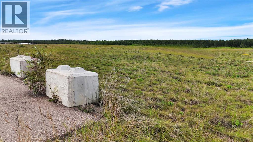 29 Metaldog Place, Rural Clearwater County, Alberta  T4T 2A2 - Photo 6 - A2003129