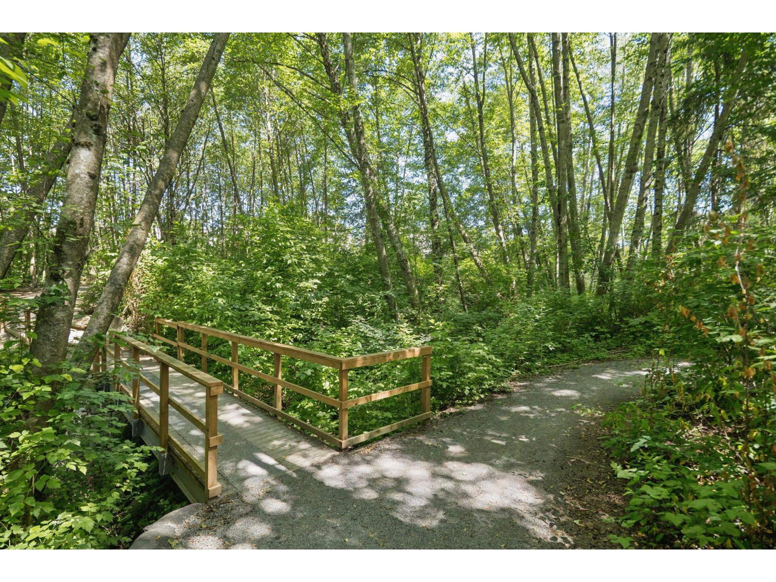 32 3039 156 Street, Surrey, British Columbia  V3Z 6T5 - Photo 39 - R3160363