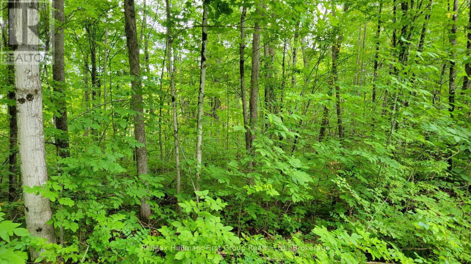 0 Black River Road N, Tweed, Ontario  K0K 3J0 - Photo 3 - X13731520