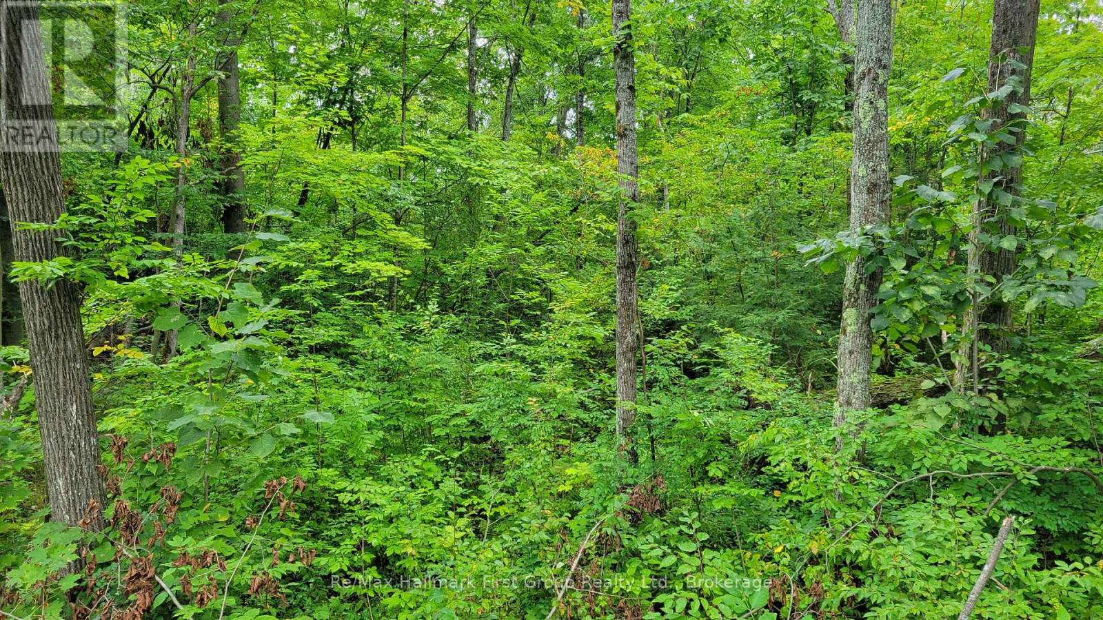 0 Black River Road N, Tweed, Ontario  K0K 3J0 - Photo 6 - X13731520