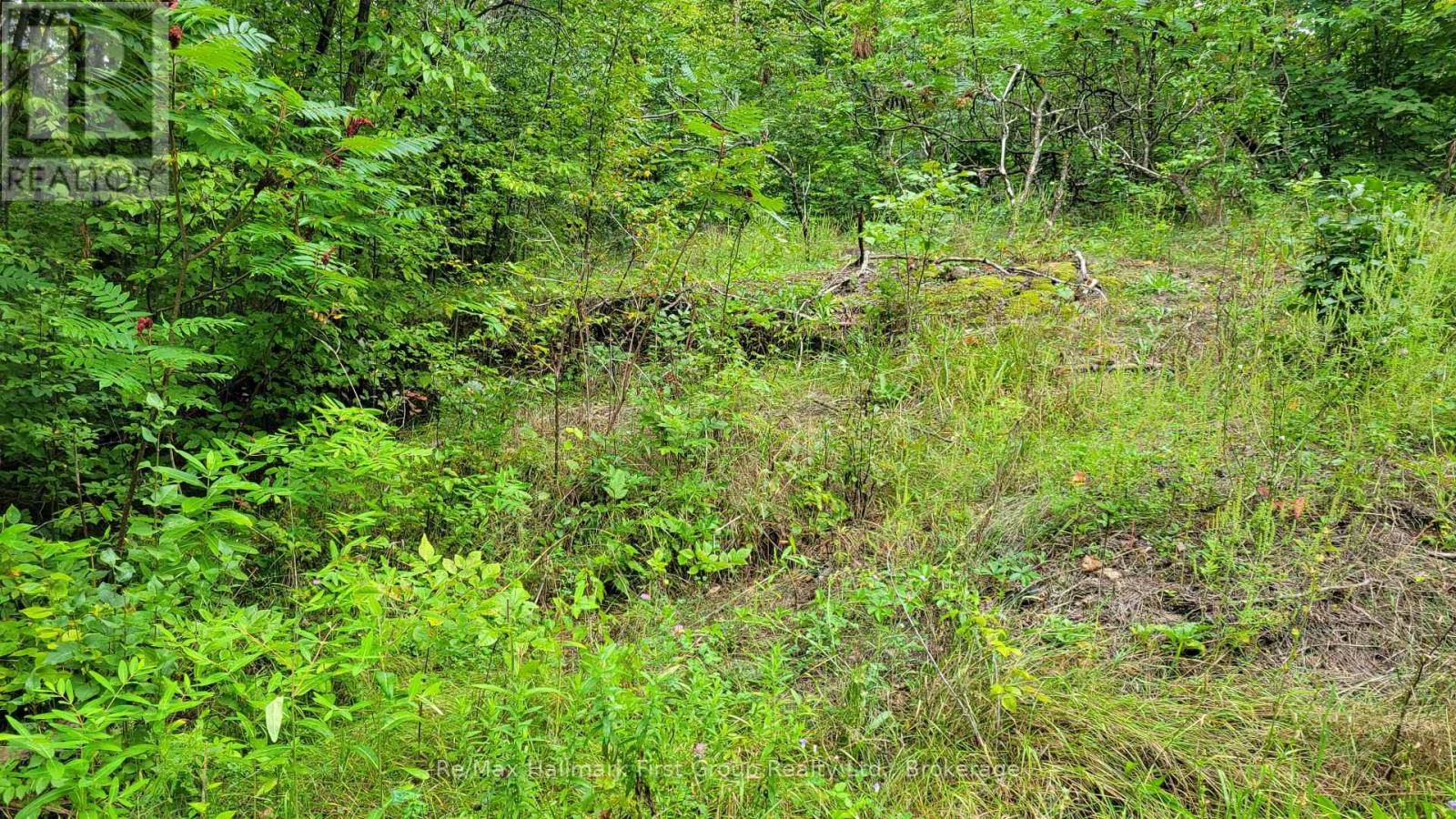 0 Black River Road N, Tweed, Ontario  K0K 3J0 - Photo 5 - X13731520