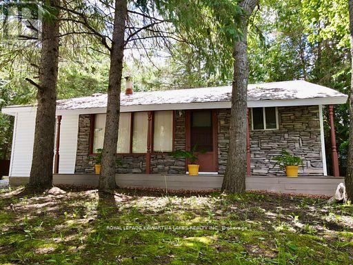 81 Mcguire Beach Road, Kawartha Lakes, Ontario  K0M 2B0 - Photo 10 - X13732744