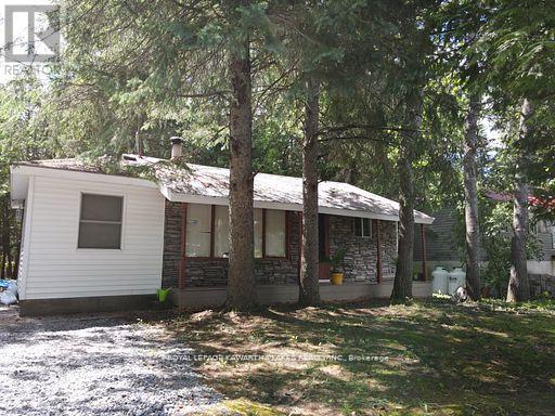 81 Mcguire Beach Road, Kawartha Lakes, Ontario  K0M 2B0 - Photo 11 - X13732744