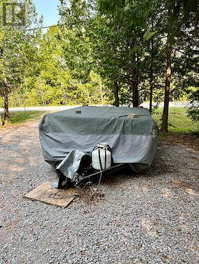 81 Mcguire Beach Road, Kawartha Lakes, Ontario  K0M 2B0 - Photo 37 - X13732744