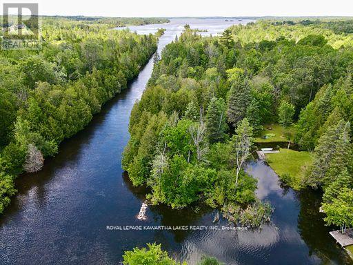 81 Mcguire Beach Road, Kawartha Lakes, Ontario  K0M 2B0 - Photo 4 - X13732744