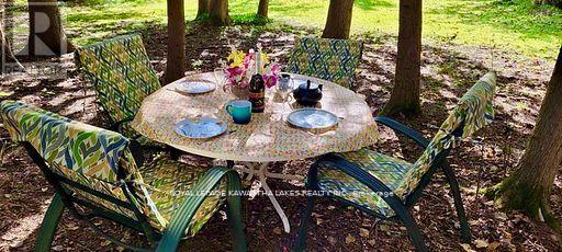 81 Mcguire Beach Road, Kawartha Lakes, Ontario  K0M 2B0 - Photo 40 - X13732744