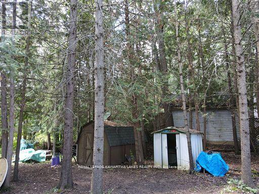 81 Mcguire Beach Road, Kawartha Lakes, Ontario  K0M 2B0 - Photo 43 - X13732744