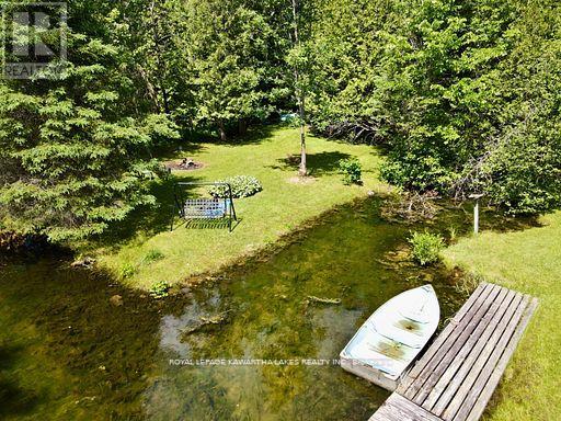 81 Mcguire Beach Road, Kawartha Lakes, Ontario  K0M 2B0 - Photo 5 - X13732744