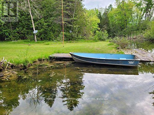 81 Mcguire Beach Road, Kawartha Lakes, Ontario  K0M 2B0 - Photo 6 - X13732744