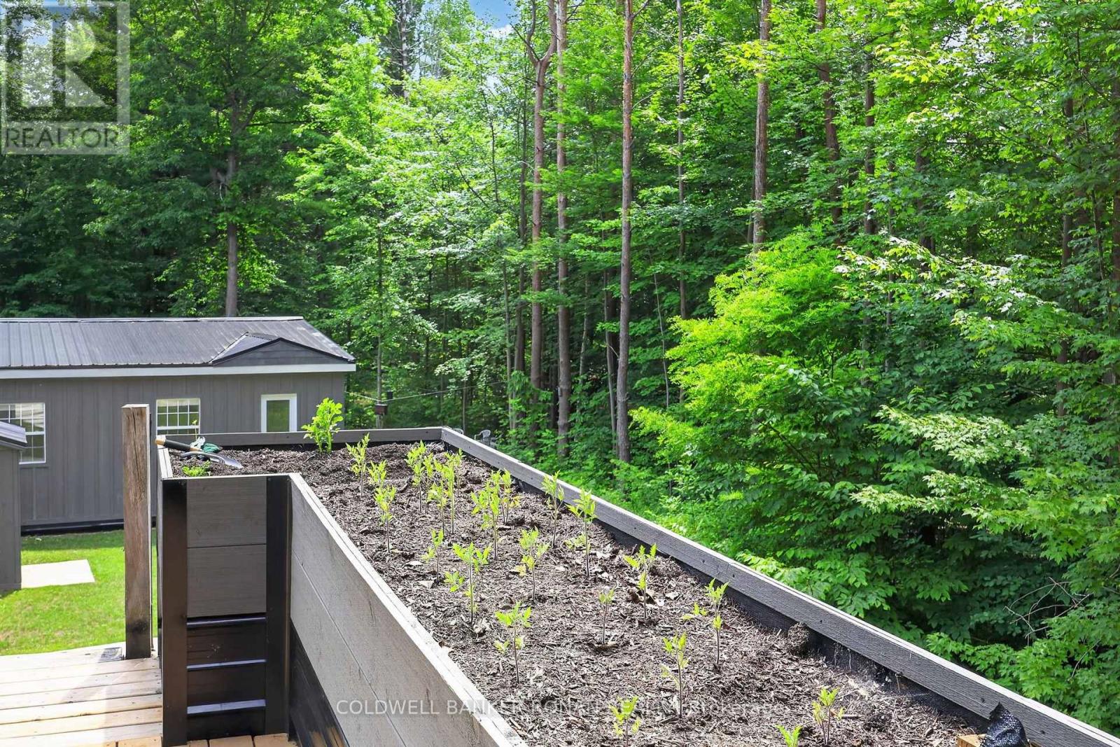 9087 Webster Road, Adjala-Tosorontio (Glencairn), Ontario  L0M 1K0 - Photo 44 - N13732640
