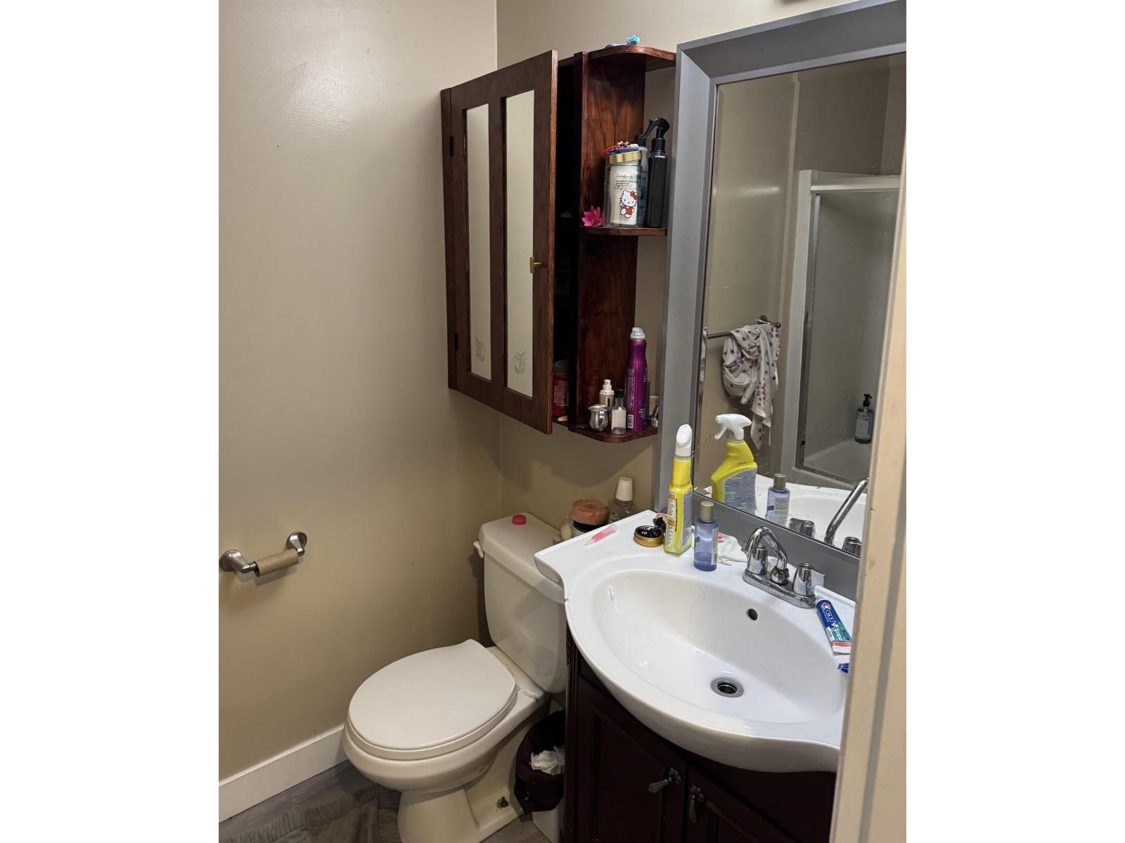 17 46160 Princess Avenue, Chilliwack Proper East, Chilliwack, British Columbia  V2P 2A7 - Photo 15 - R3160413