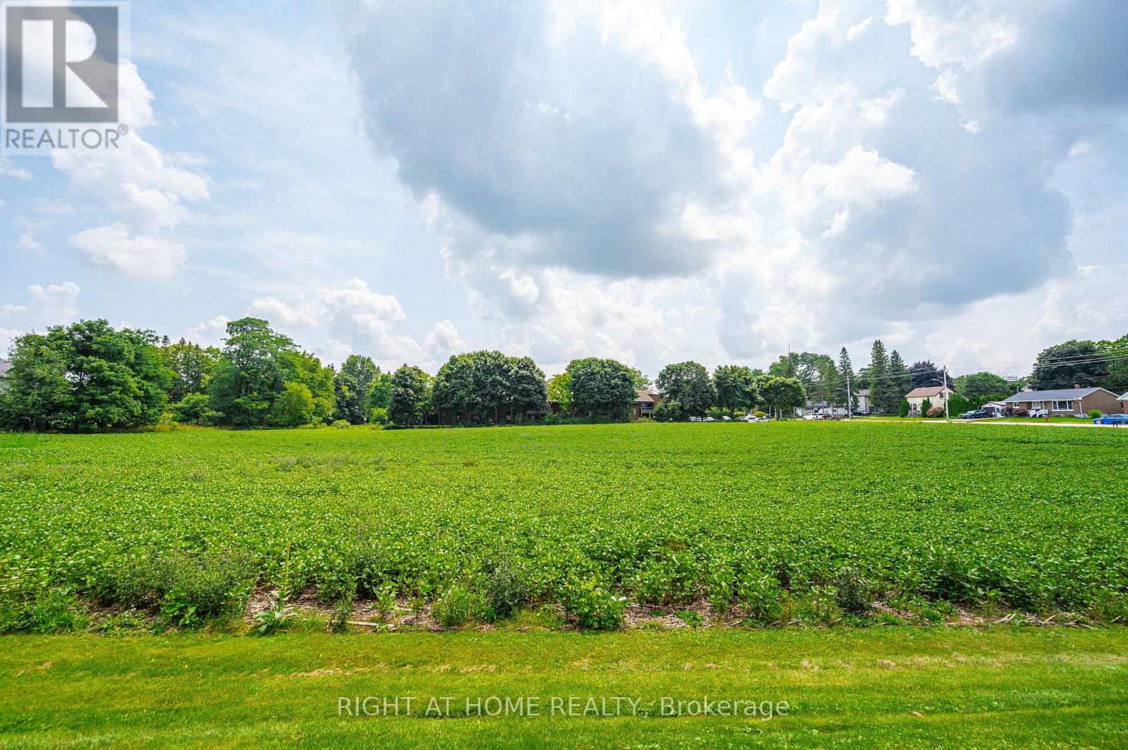 20 Part Lot Con 1, Minto, Ontario  N0G 2P0 - Photo 5 - X13732732