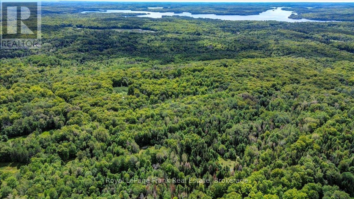 0 North Rusaw Road, North Kawartha, Ontario  K0L 1A0 - Photo 16 - X13693560